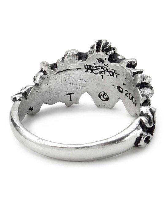 ring-med-rött-hjärta-alchemy-gothic